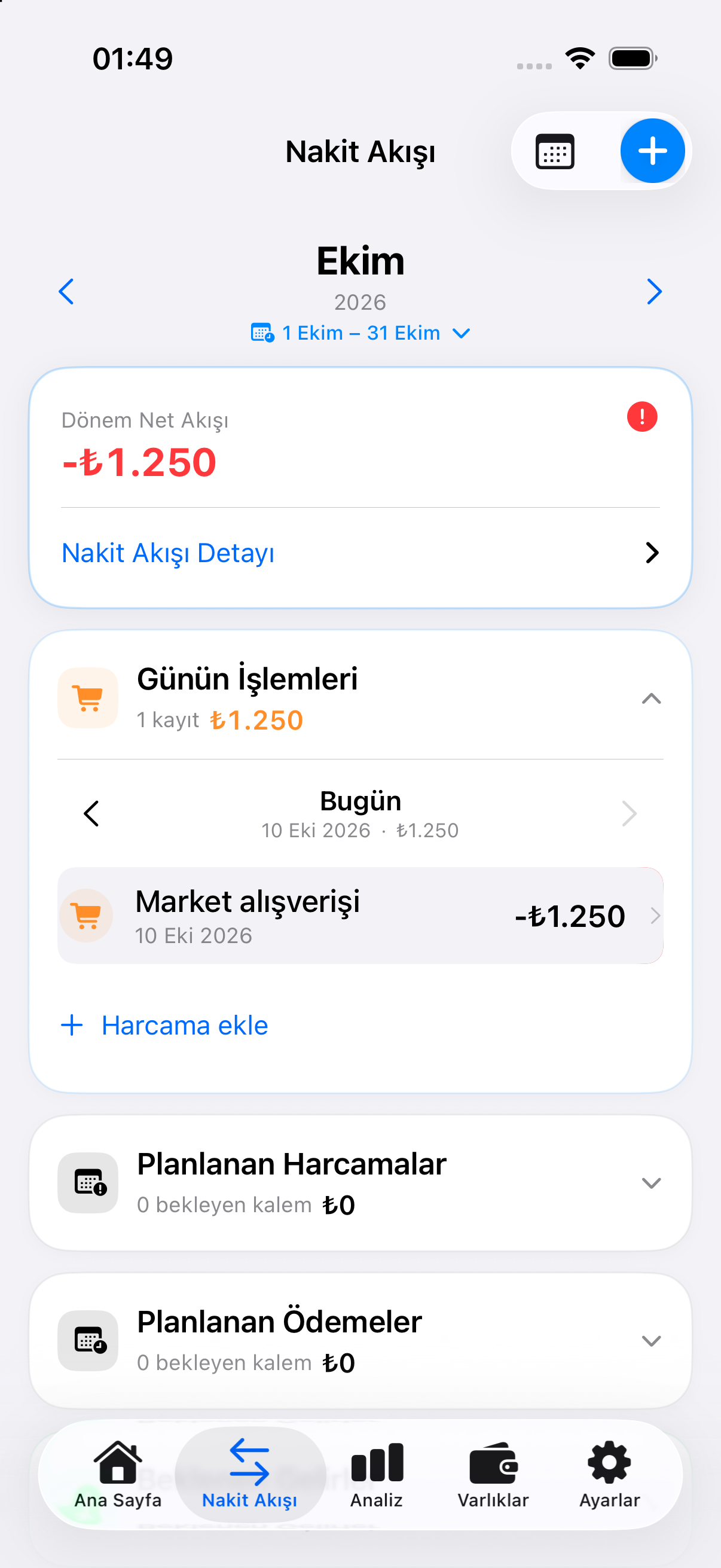 Örnek kayıtlarla Paymoria nakit akışı ekranı